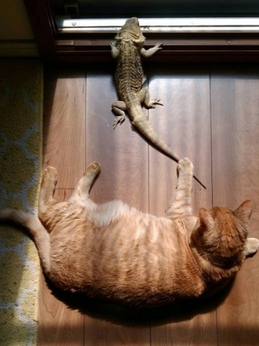 「外に出ちゃだめよ」