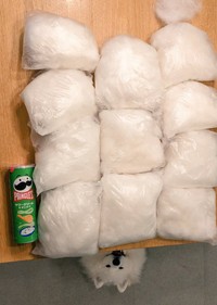 さらにフワフワ～（画像提供：サモエドのニコさん)