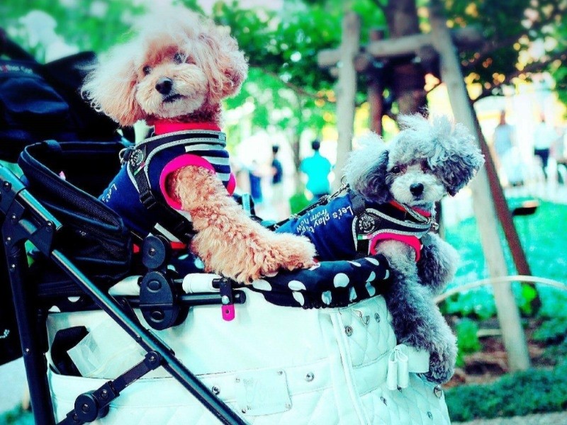 「風って気持ちいいんだね」　（撮影は友人のSAKIさん）