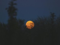 日が昇り残酷な世界に放り投げられるのが怖い。だから、ずっと夜であれ