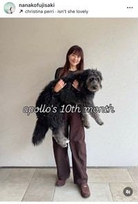 藤崎奈々子インスタグラム＠nanakofujisakiより