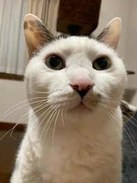 同じ年なのに、甘えられるんです