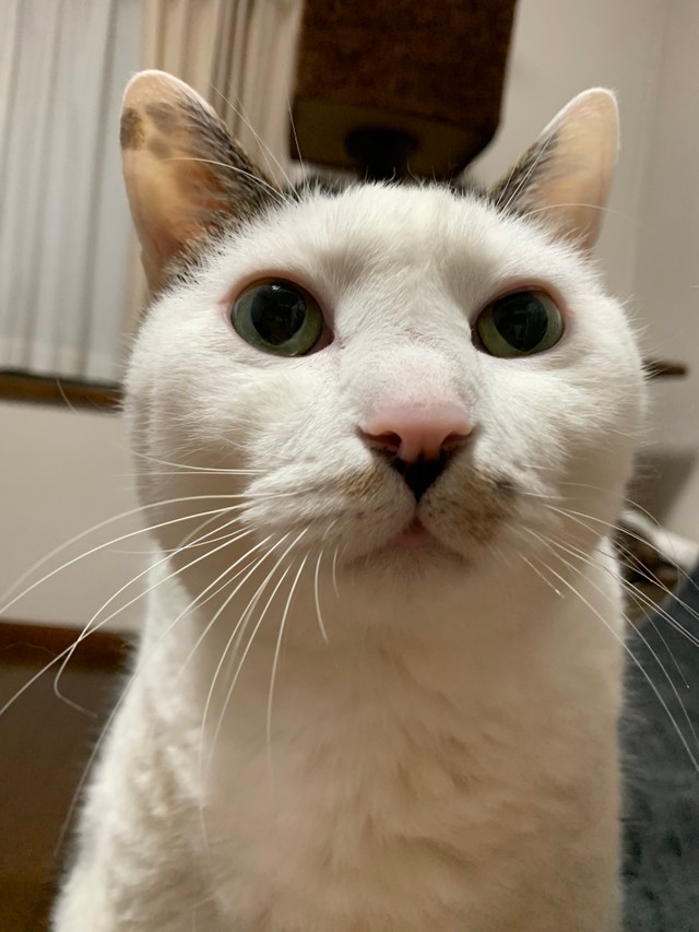 同じ年なのに、甘えられるんです