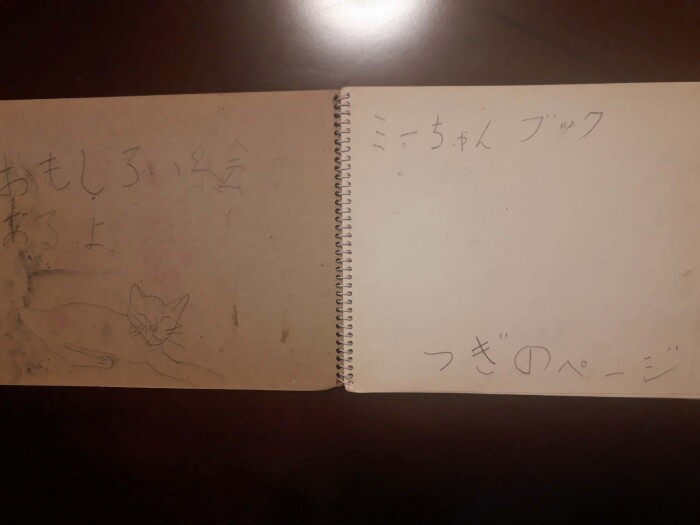 スケッチブックを「ミーちゃんブック」と名づけ、18ページにわたり彼女の絵を描いた