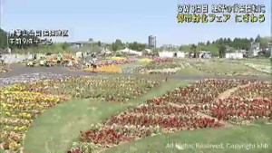 ゴールデンウィーク　都市緑化仙台フェアにぎわう