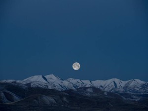 彼が思い浮かぶ月を見上げて、小さな声で言う。「月が綺麗ですね」と