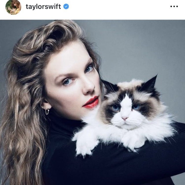 テイラー・スウィフトのインスタグラム＠taylorswiftより