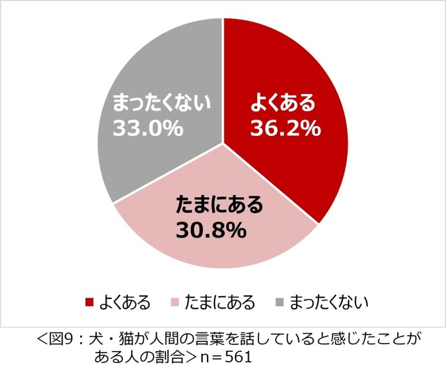 犬や猫が人間の言葉を話していると感じることがありますか（提供画像）