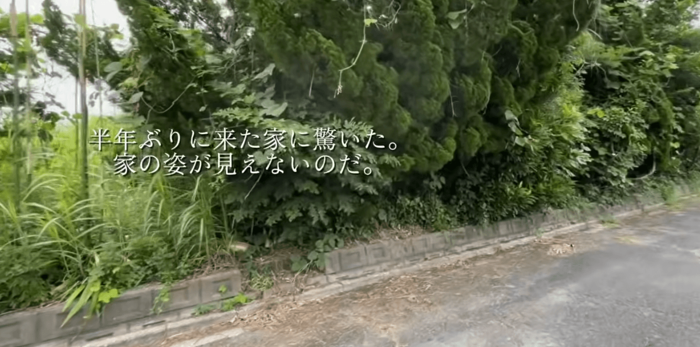 雑草やツタに覆われ、家の全景も見えにくくなっていた再生前の外観／DIY房総03・渡辺さん（@Boro_Saisei_J）提供