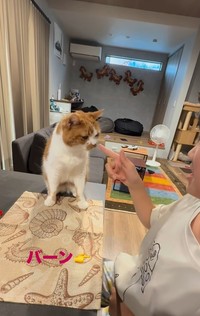 バーン！！（「W＊S」さん提供、Instagramよりキャプチャ撮影）