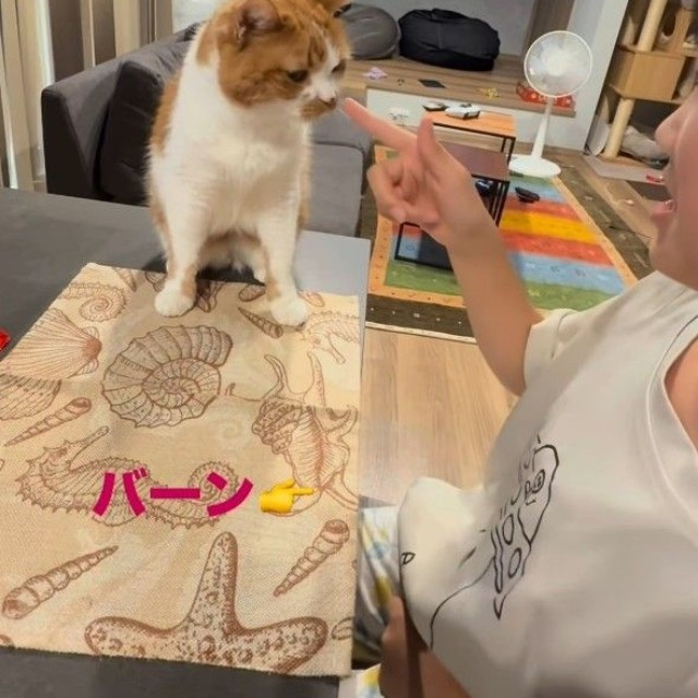 バーン！！（「W＊S」さん提供、Instagramよりキャプチャ撮影）