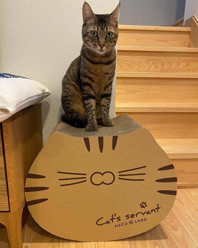 キョトン顔が可愛い