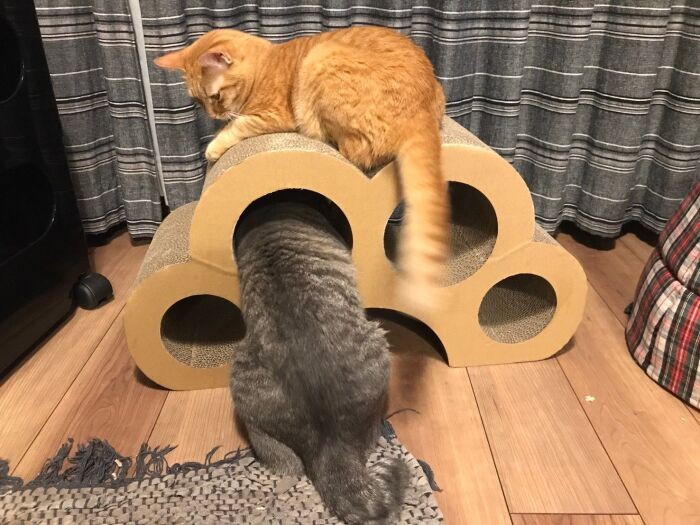 「愉快ね、ナンくんて」（山下さん提供）