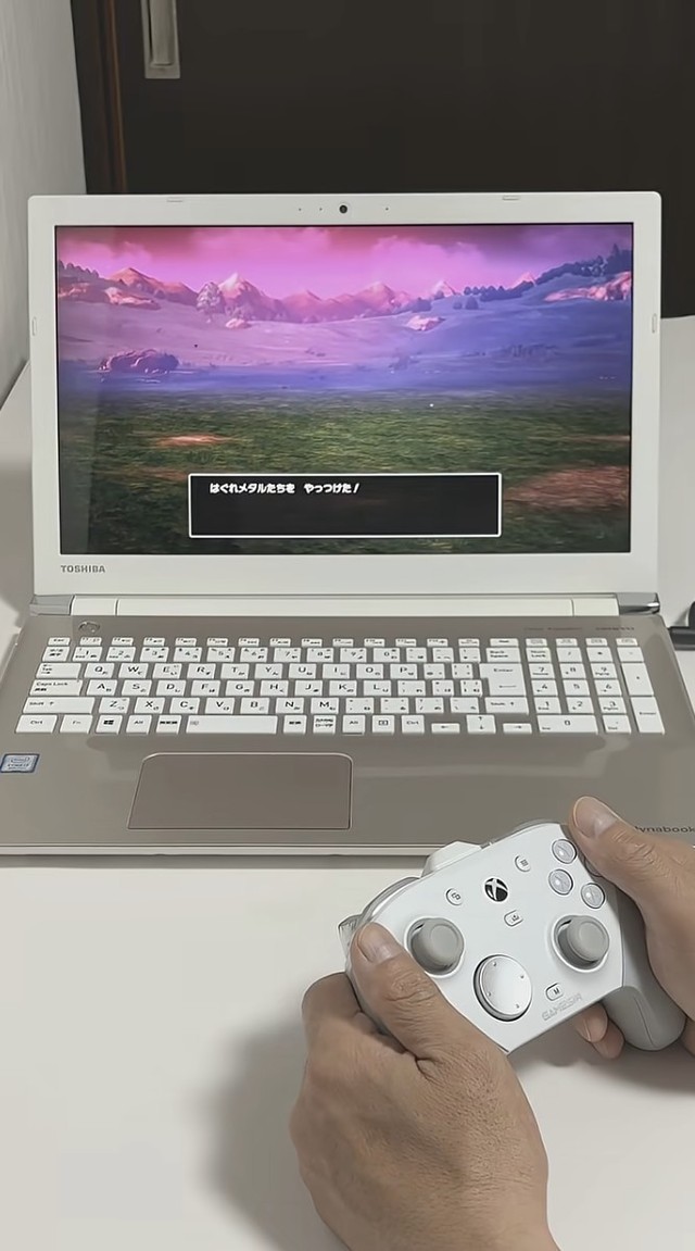 支障なくプレイできたそう／投稿主さん提供