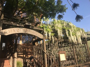 オーガニック食文化を広めたアリス・ウォータース氏に学ぶ