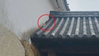 しっくいが剥がれた国の重要文化財「北之丸渡櫓」の外壁　提供：高松市
