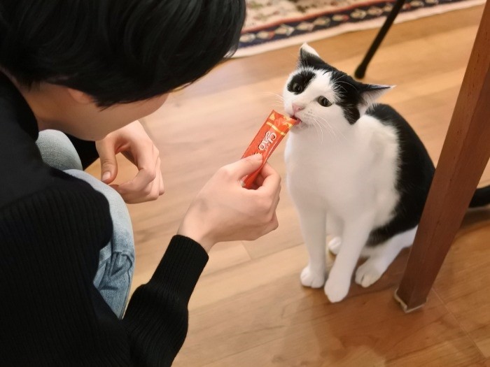 昨年１月の”初ちゅーる”ショット　（mimoeさん提供）