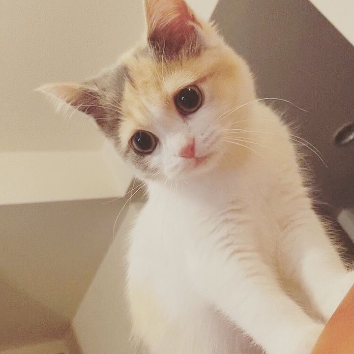 244e399f0c84735e0781f862229113