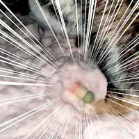 紛失した「お団子のおもちゃ」を発見！大雪のなかから探し出してくれたのは……（動画からキャプチャー／提供：ＬＩＳＡさん　※わかりやすいように編集加工しています）