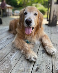 水遊びしたよ＝blueoceanさん提供