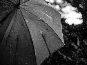 香港人の友人が参加していた雨傘運動。私にできることは伝えること