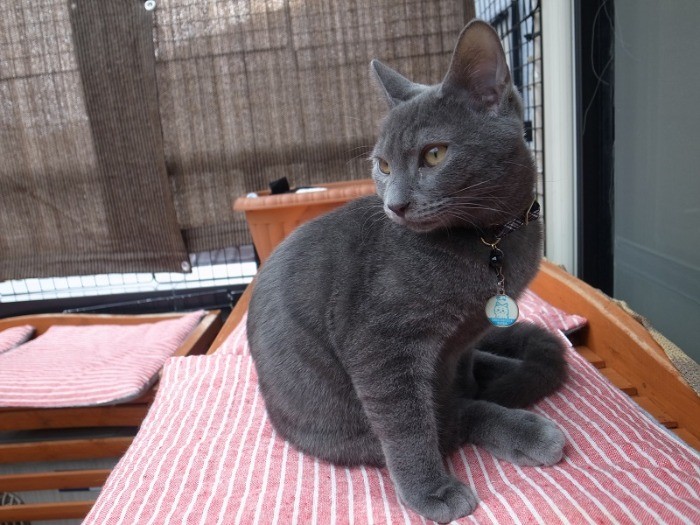 テラスがお気に入り