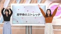 寒さに負けない！理学療法士に聞く「肩甲骨ストレッチ」