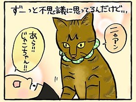 尻よ、ドンとこい　愛猫「じゃこてん」のクサうれしい愛情表現