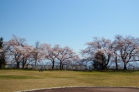 大寺ふれあい公園（山辺町観光協会）