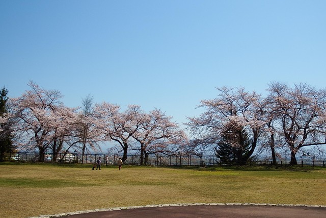 大寺ふれあい公園（山辺町観光協会）