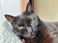 幸せな日々を過ごすかのさん（画像提供：雲母あおさん）