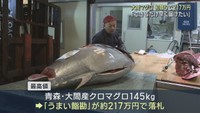 仙台市中央卸売市場で初競り　青森・大間産のクロマグロ２１７万円で競り落とされる