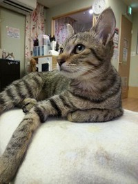 初日のみうちゃん。落ち着き払っていた。