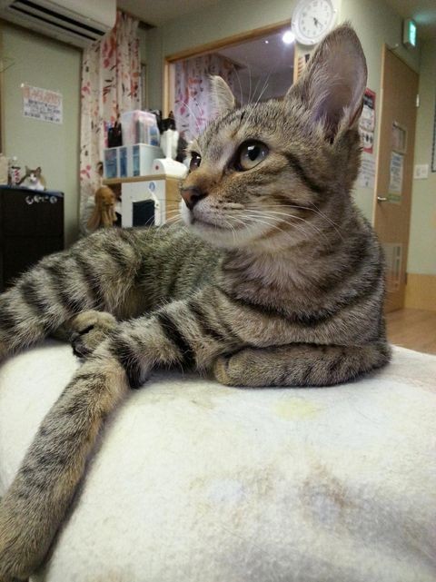 初日のみうちゃん。落ち着き払っていた。