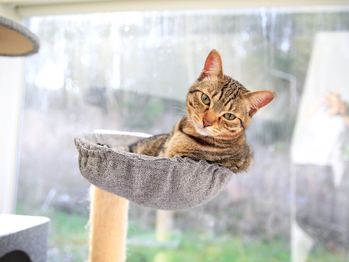 あめも大好きなスポット