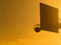 「それくらい自分で取りに行きなよ」体が強張る。私の初めての反抗