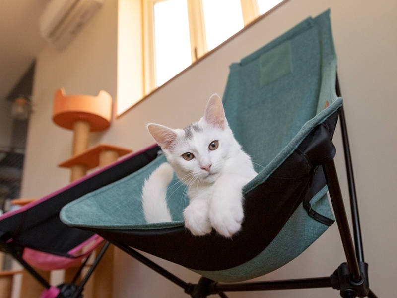 取れ高十分！ 癒されました