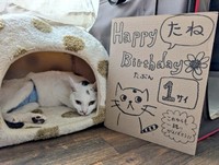 願い通り、1歳の誕生日を迎えることはできた