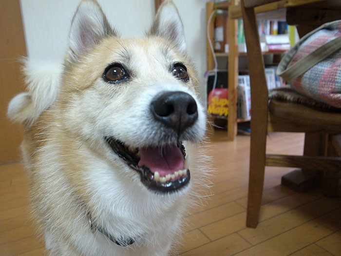 おやつに目を輝かせる