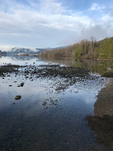 日本へ続く、太平洋の入江のロッキーポイント近辺