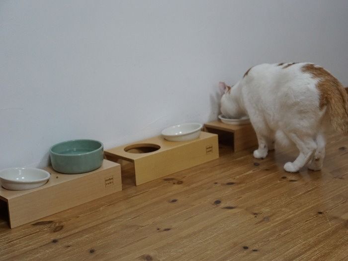 木製の「餌のちゃぶ台」は由美さんの夫がセレクト。「パパありがと～」