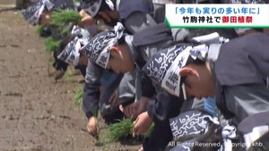 豊作を祈る御田植祭　宮城・竹駒神社　学生がひとめぼれを植える