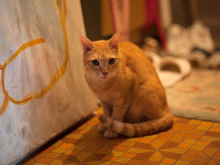 「お帰りですか？忘れ物ないようにね」（小林写函撮影）