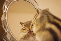 わたちきれい？（ビッケちゃん）