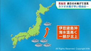 カツオの水揚げ早まる　海水温が影響　豊漁に期待も