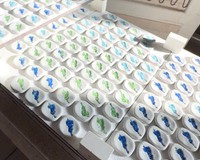 焼く前の「びわこ箸置き」　画像提供：信楽高等学校