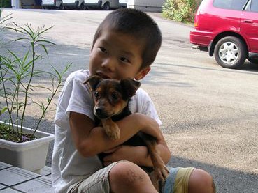 殺処分ゼロ、熊本の挑戦　殺さない方法はきっとある①