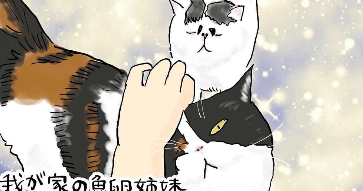 犬の過剰な流涙と眼球流出