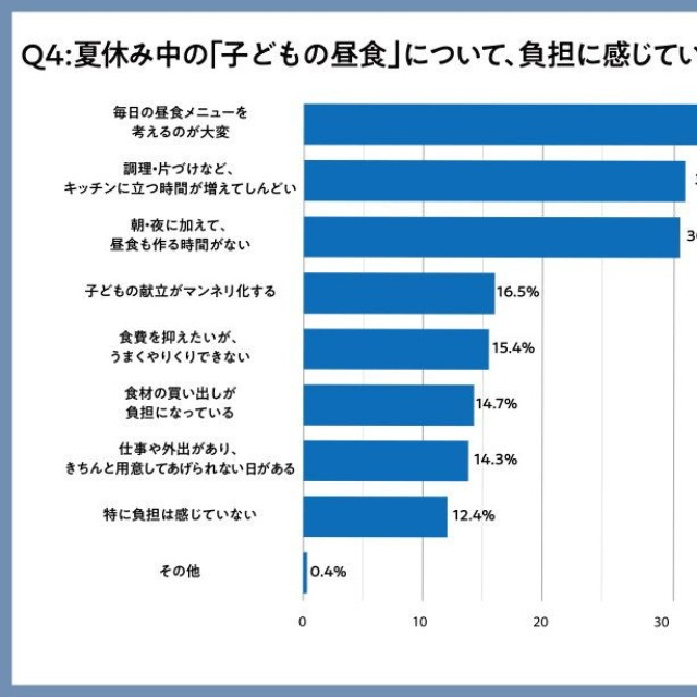 夏休み中の「子どもの昼食」について、負担を感じていること・困っていることは　　なんですか？（出典：ウェルネスダイニング株式会社）