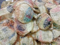 （村田勇気さん提供）